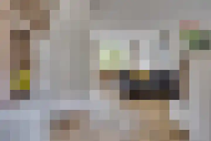 Catalonië 7 Utrecht thumbnail 5
