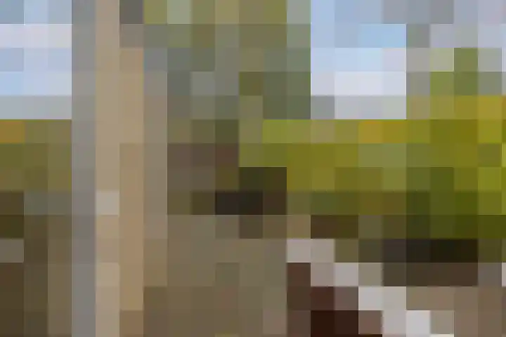 Catalonië 7 Utrecht thumbnail 7
