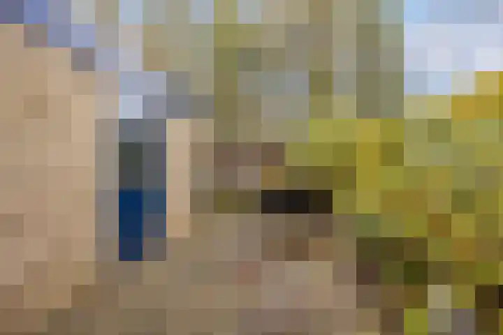 Catalonië 7 Utrecht thumbnail 8