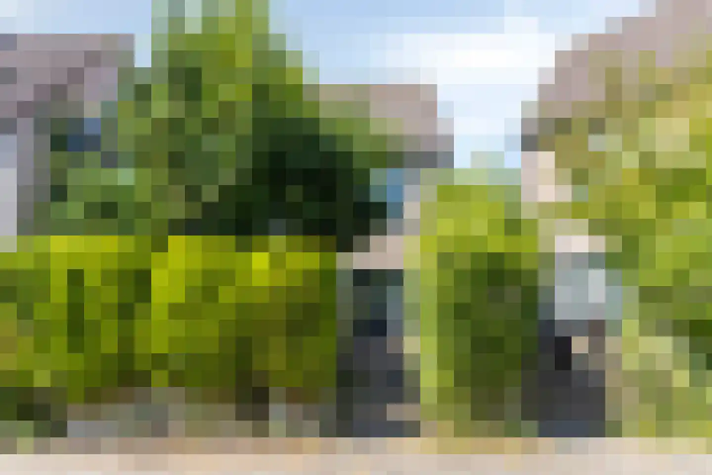 Cataloniëstraat 36 Alkmaar thumbnail 5