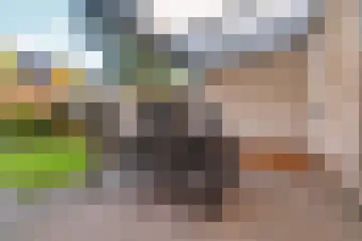 Cataloniëstraat 36 Lent thumbnail 37