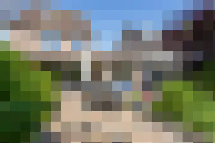 Cataloniëstraat 51 Alkmaar thumbnail 33