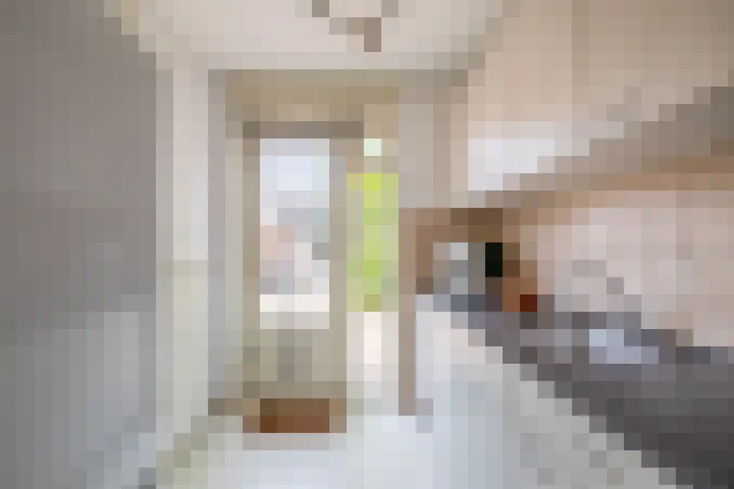 Cataloniëstraat 92 Alkmaar thumbnail 19
