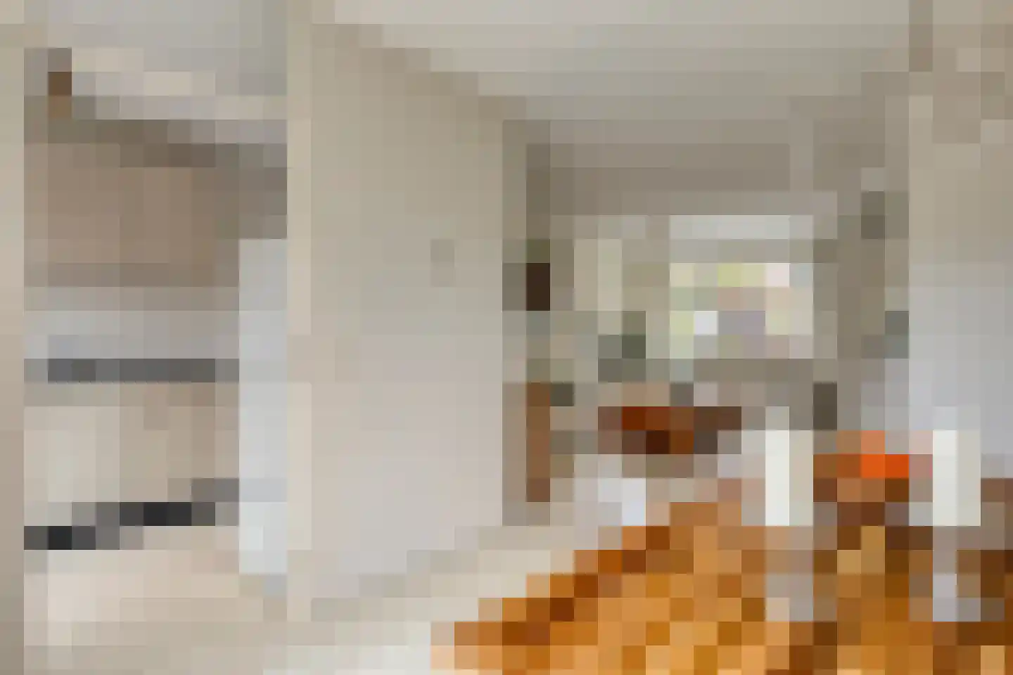 Cataloniëstraat 92 Alkmaar thumbnail 8