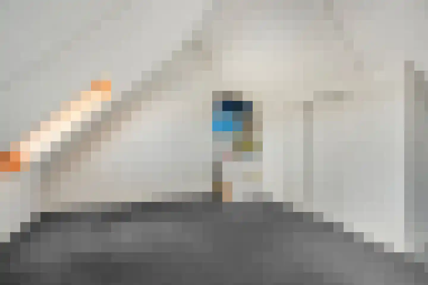 Catalpastraat 36 Almere thumbnail 36