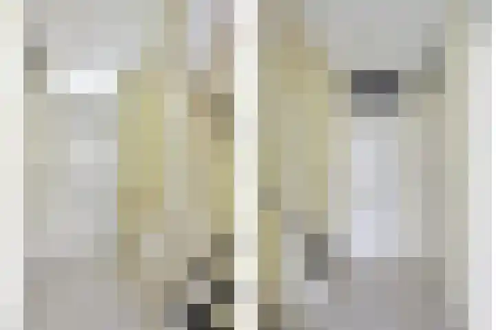 Catamaranstraat 10 Tilburg thumbnail 17