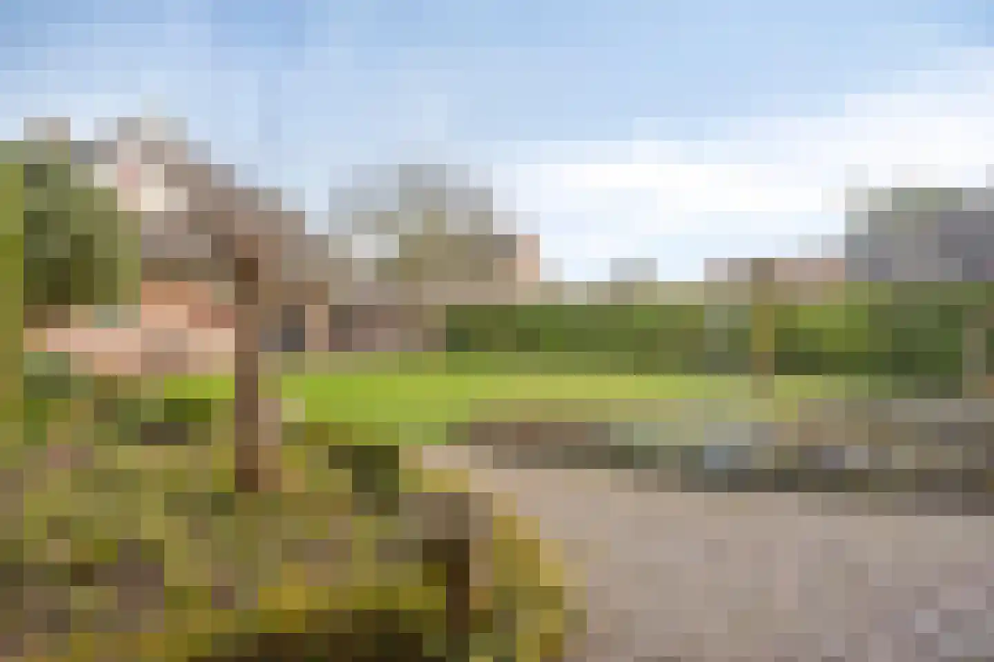 Cathalijnepad 15 Sint-Oedenrode thumbnail 47