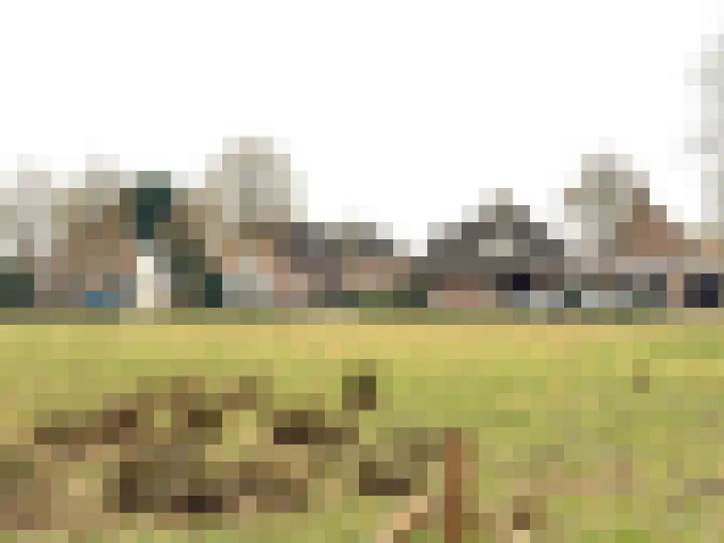 Cathalijnepad 15 Sint-Oedenrode thumbnail 56