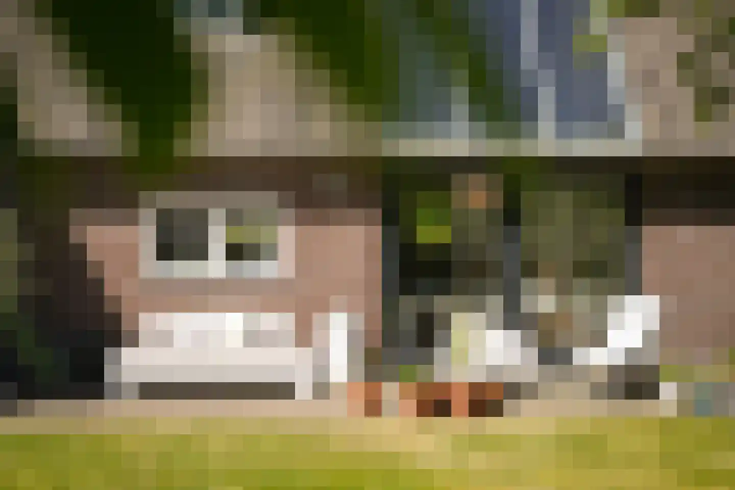 Cathalijnepad 6 Sint-Oedenrode thumbnail 14