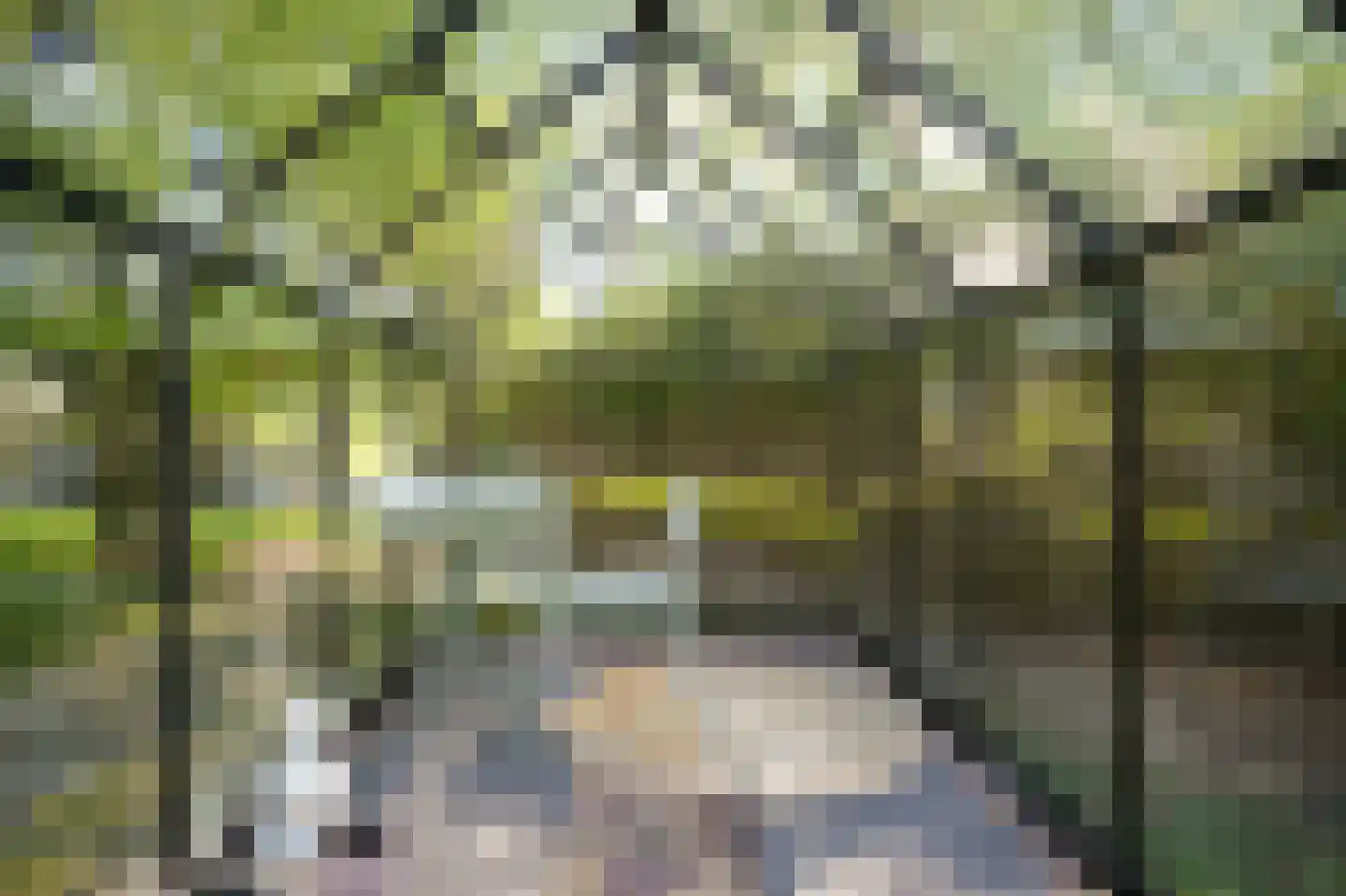Cathalijnepad 6 Sint-Oedenrode thumbnail 17