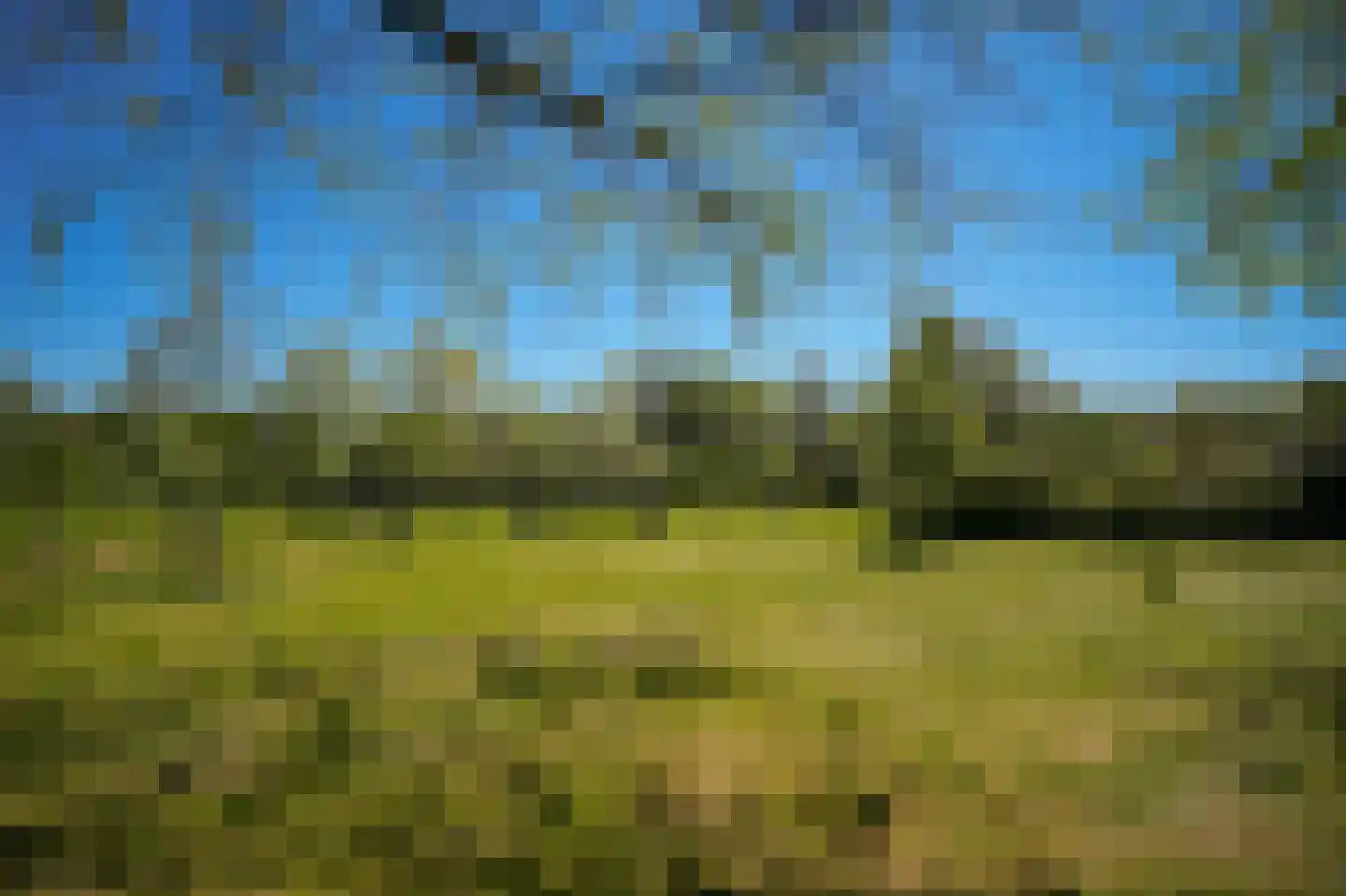 Cathalijnepad 6 Sint-Oedenrode thumbnail 22
