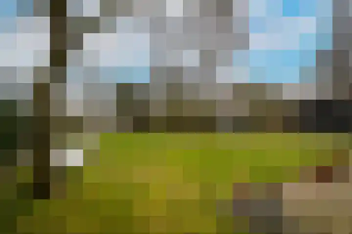 Cathalijnepad 6 Sint-Oedenrode thumbnail 40