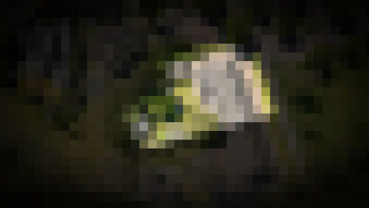 Cathalijnepad 6 Sint-Oedenrode thumbnail 47