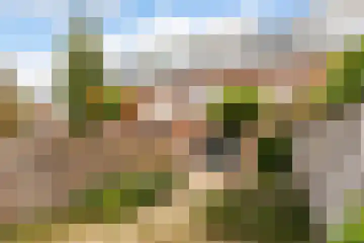 Cathalijnepolder 8 Amersfoort thumbnail 13