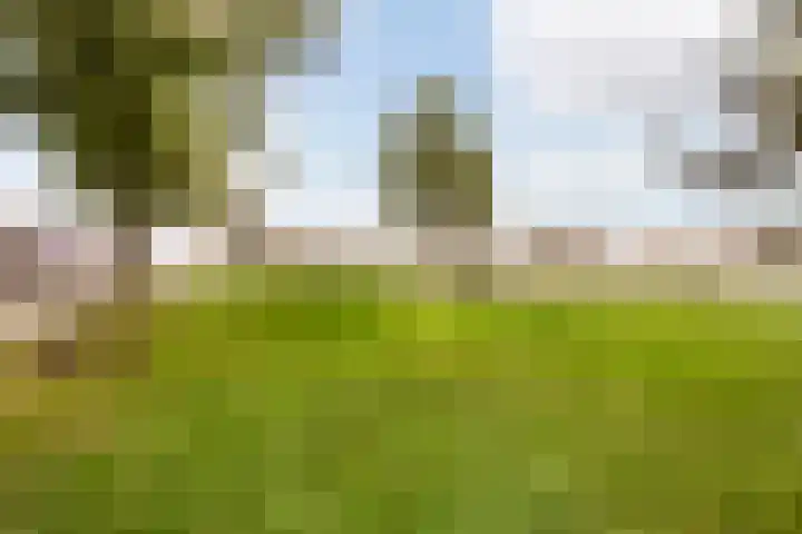 Cathalijnepolder 8 Amersfoort thumbnail 35