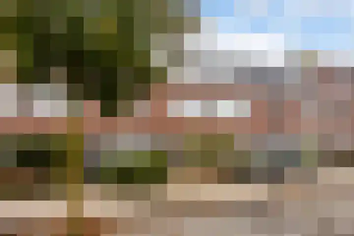 Cathalijnepolder 8 Amersfoort thumbnail 6