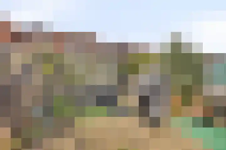 Catharijnepoort 25 Nieuw-Vennep thumbnail 26