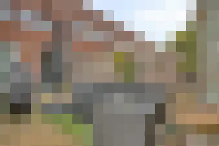 Catharijnepoort 25 Nieuw-Vennep thumbnail 27