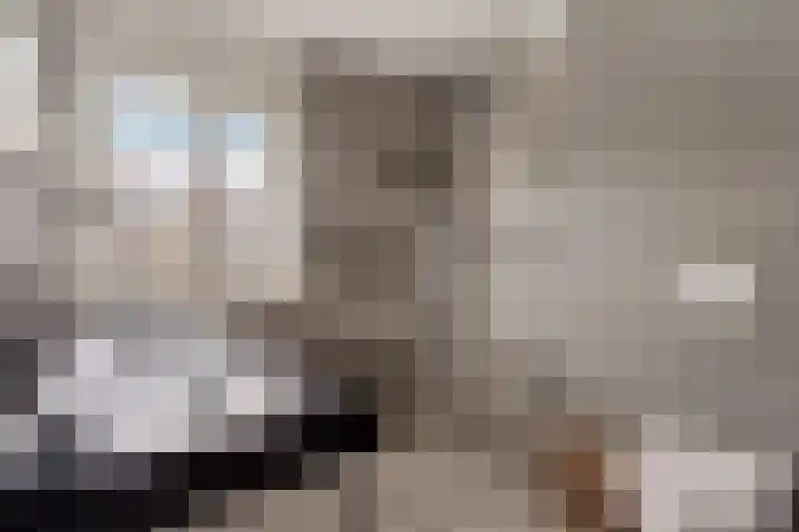 Catharijnepoort 25 Nieuw-Vennep thumbnail 4