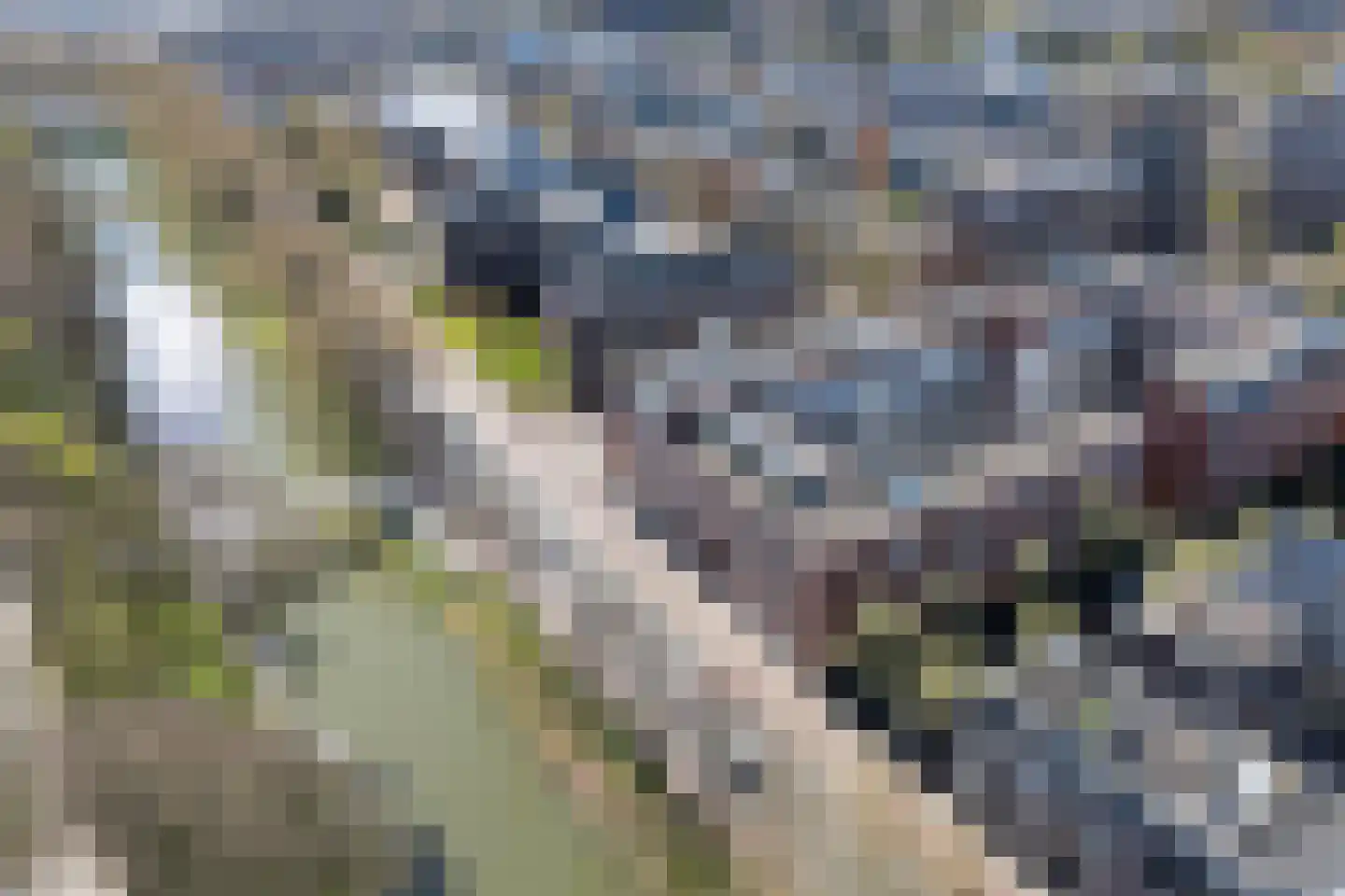 Catharijnesingel 100 DP Utrecht thumbnail 39
