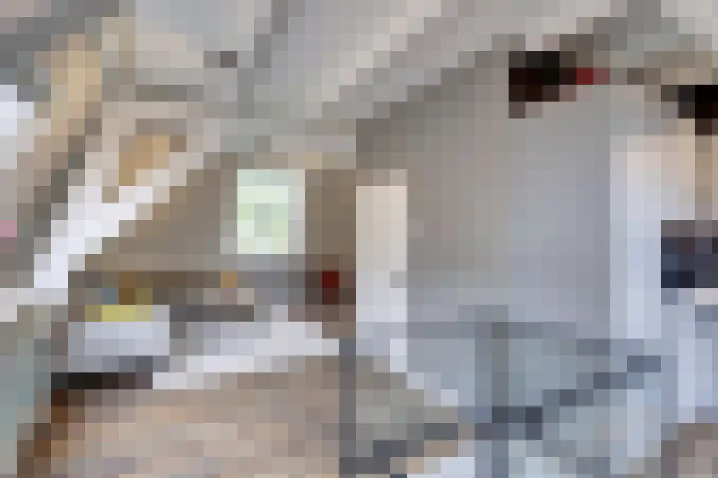 Catharijnesingel 103 Utrecht thumbnail 22