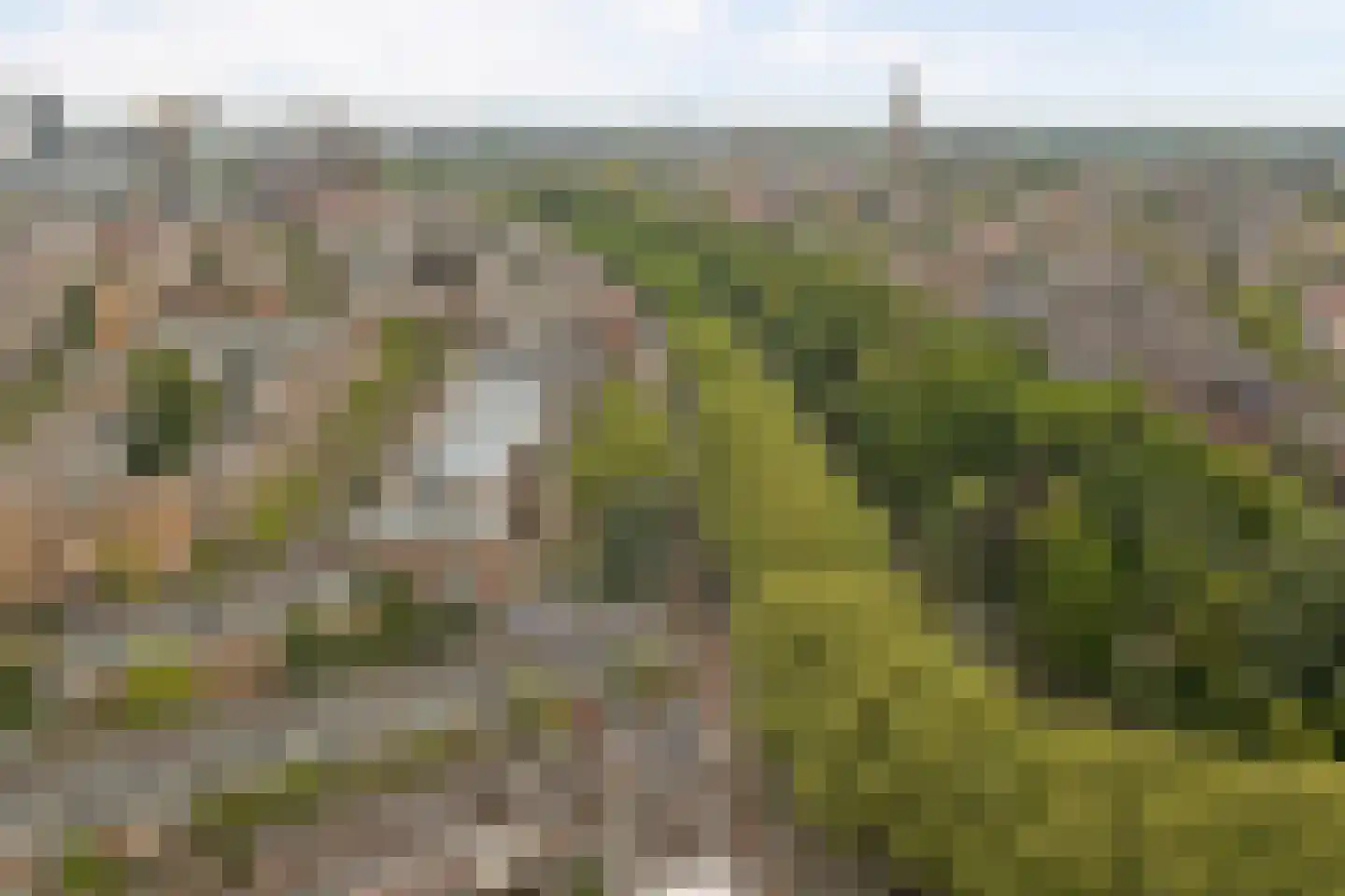 Catharijnesingel 103 Utrecht thumbnail 43