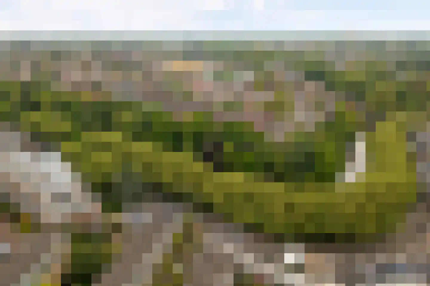 Catharijnesingel 103 Utrecht thumbnail 44