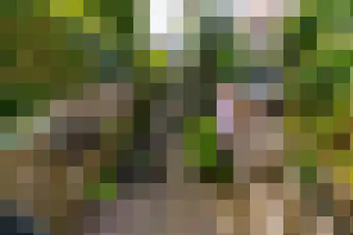 Catharijnesingel 105 Utrecht thumbnail 22