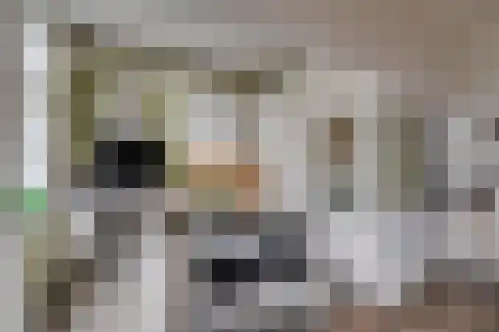 Catharijnesingel 105 Utrecht thumbnail 4
