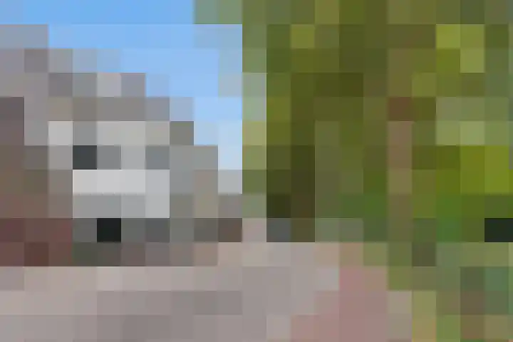 Catharijnesingel 139 C Utrecht thumbnail 22