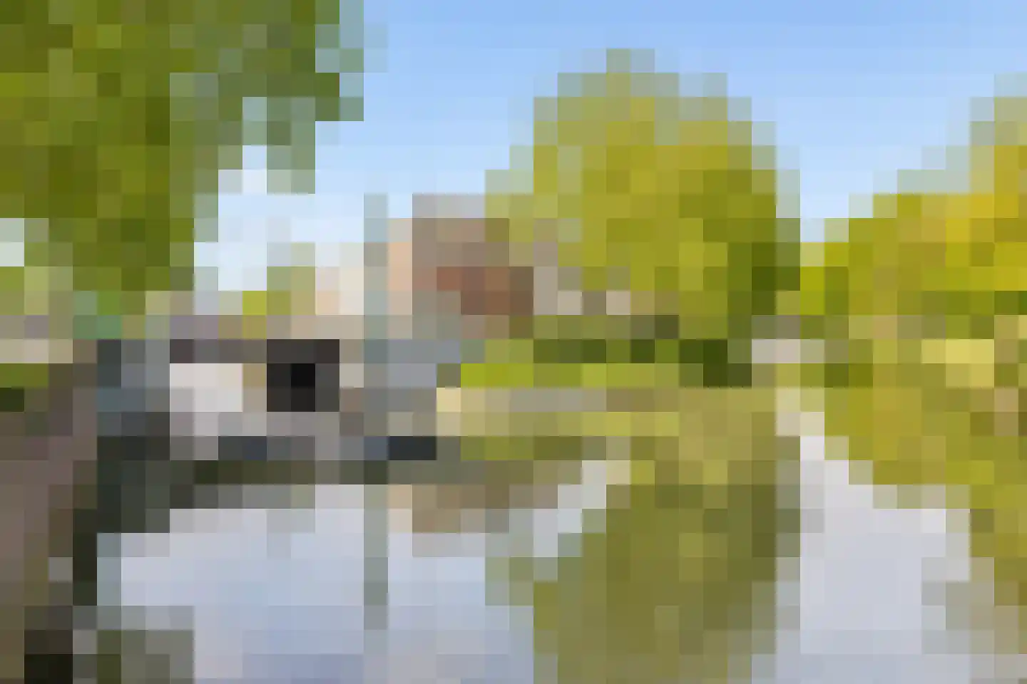 Catharijnesingel 139 D Utrecht thumbnail 22
