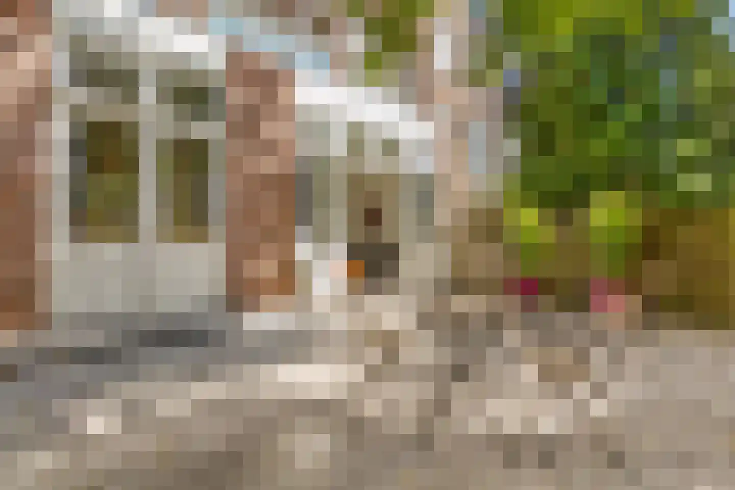 Catharijnesingel 66 D Utrecht thumbnail 16