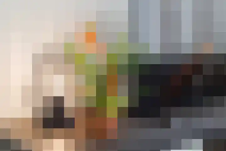 Catharijnesingel 66 H Utrecht thumbnail 11