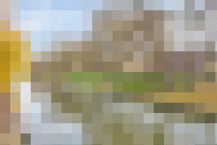 Catharijnesingel 66 Utrecht thumbnail 13