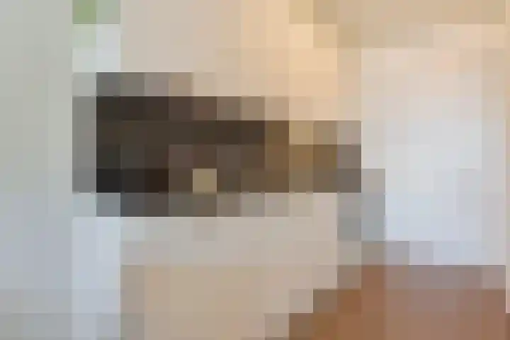 Catharijnesingel 66 Utrecht thumbnail 7