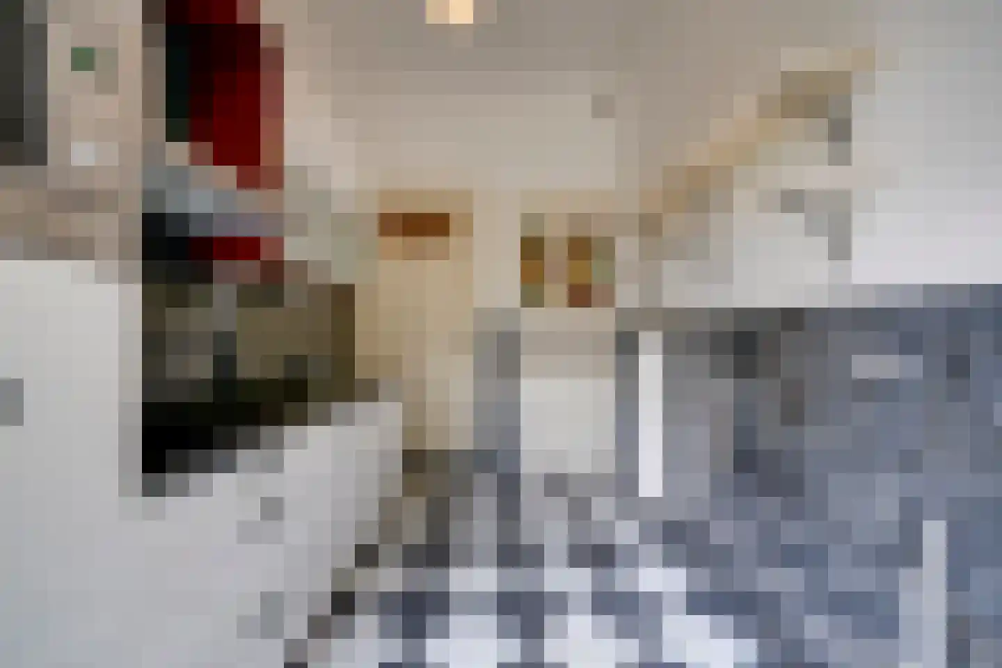 Catharijnesingel 67 Utrecht thumbnail 19