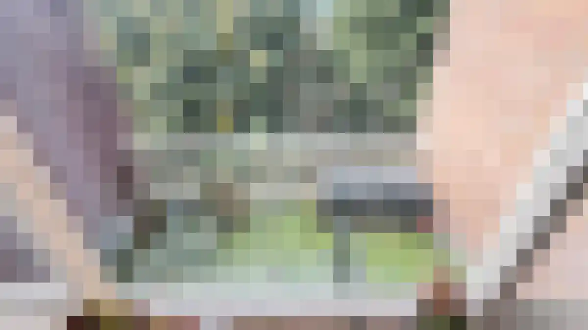 Catharijnesingel 72 2 Utrecht thumbnail 6