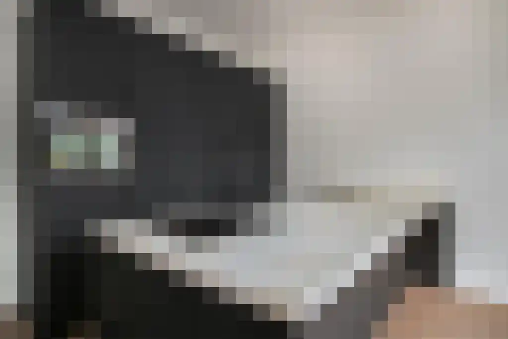 Catharijnesingel 77 Utrecht thumbnail 4