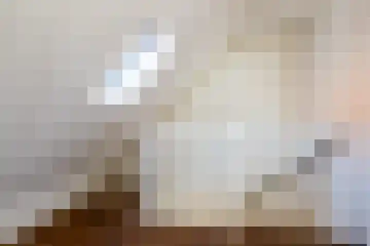 Catharijnesteeg 1 Harderwijk thumbnail 21
