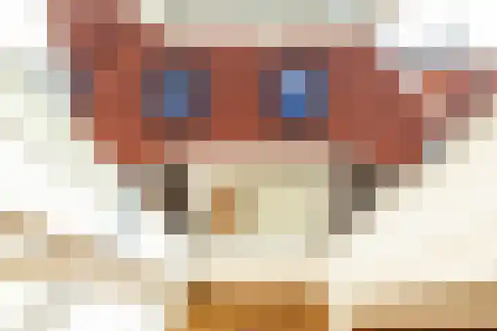 Catharijnesteeg 1 Harderwijk thumbnail 27