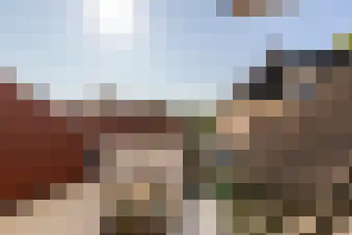 Catharijnesteeg 1 Harderwijk thumbnail 28