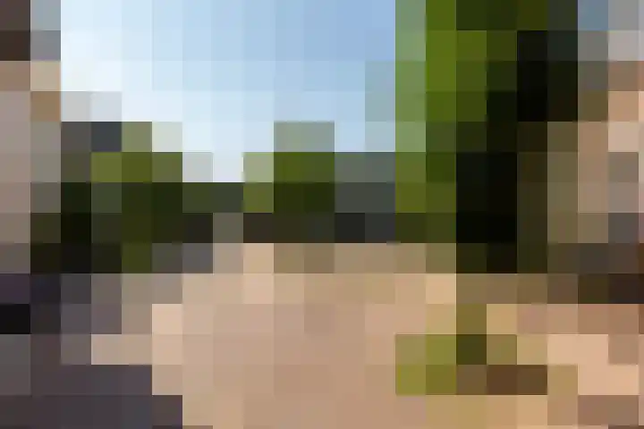 Catharijnesteeg 1 Harderwijk thumbnail 38