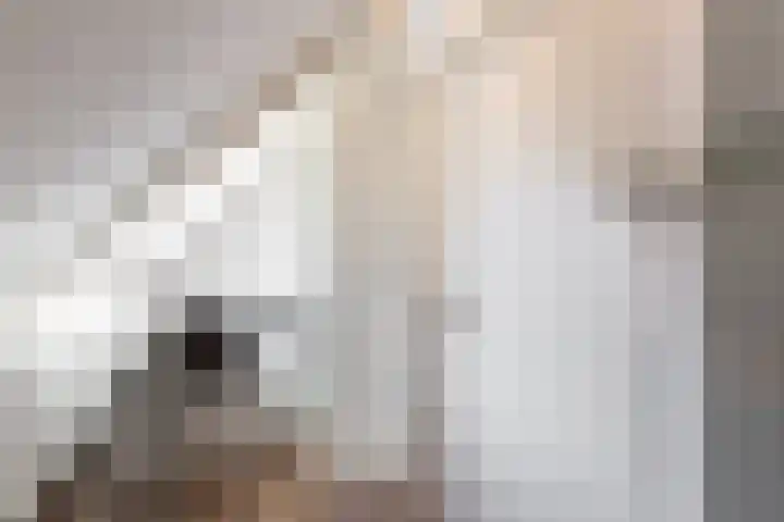 Catharijnesteeg 1 Harderwijk thumbnail 5