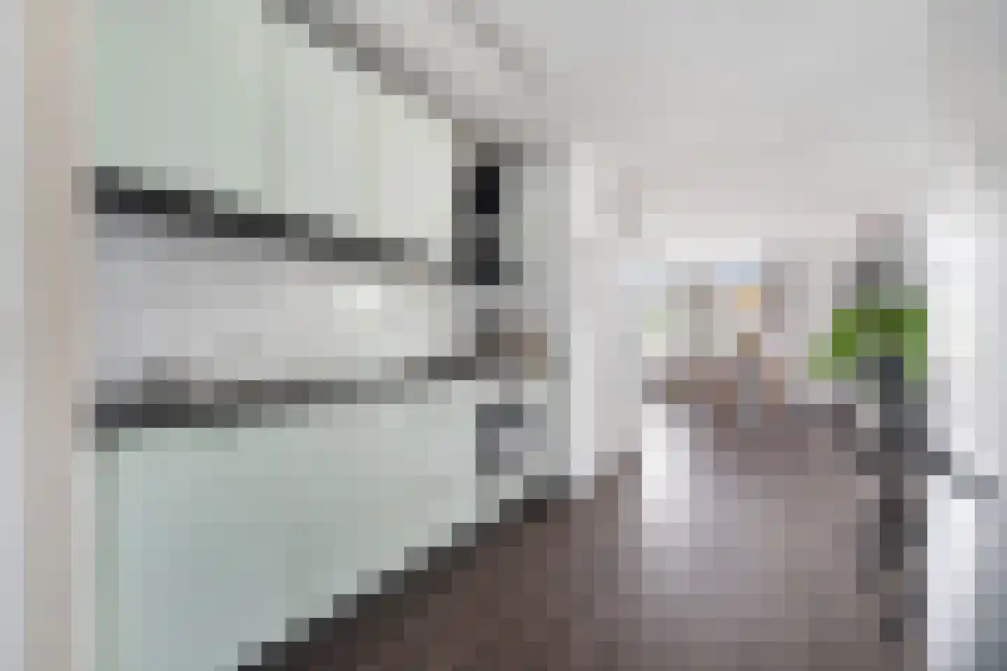 Catharijnestraat 126 Arnhem thumbnail 11