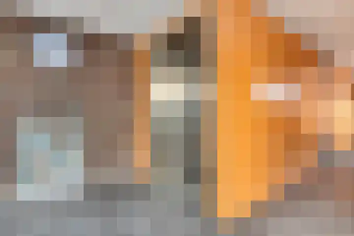 Catharina-Amaliahof 33 Beverwijk thumbnail 38