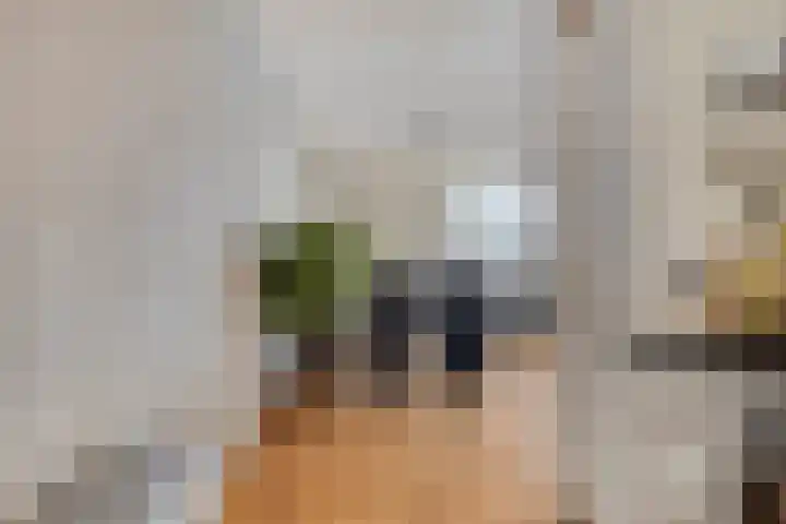 Catharina-Amaliahof 33 Beverwijk thumbnail 8