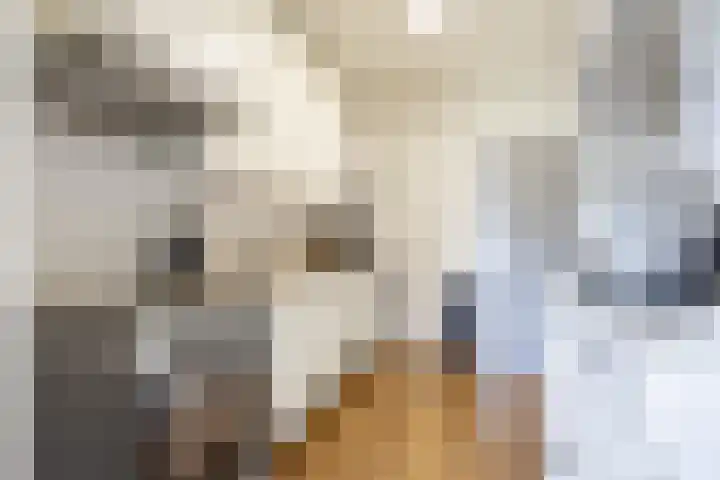 Catharina-Amaliahof 43 Beverwijk thumbnail 23