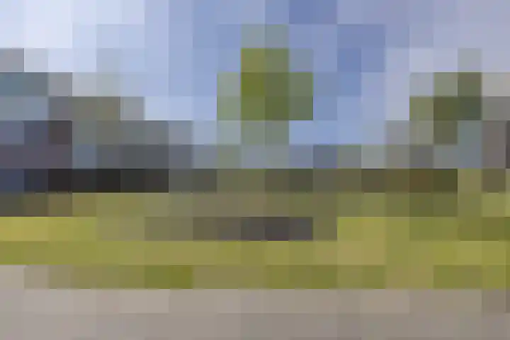 Catharina-Amaliahof 43 Beverwijk thumbnail 4