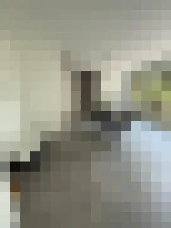 Catharina Beersmansstraat 108 Rotterdam thumbnail 5