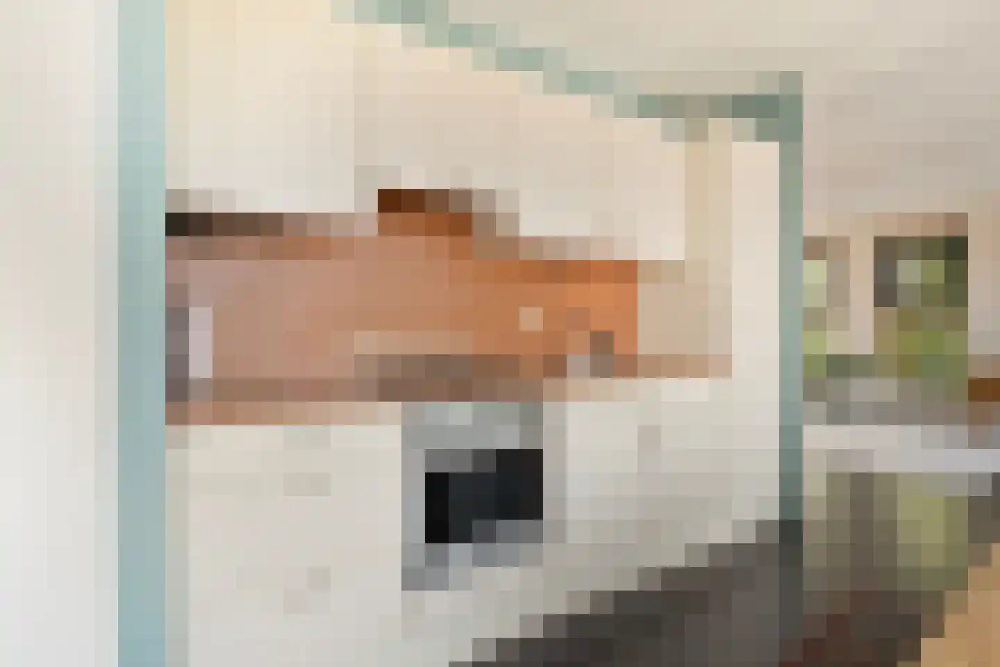 Catharina Beersmansstraat 110 Rotterdam thumbnail 20